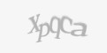 Κωδικός ασφαλείας